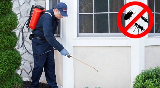 Gümüşhane Fare İlaçlama böcek ilaçlama ve haşere kontrolü — ilaclama-tr.com